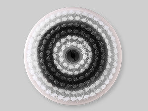 351b7ce2-3b18-4c5f-ba79-79baa3ec1c94.__CR0_0_300_225_PT0_SX300_V1____1.jpg